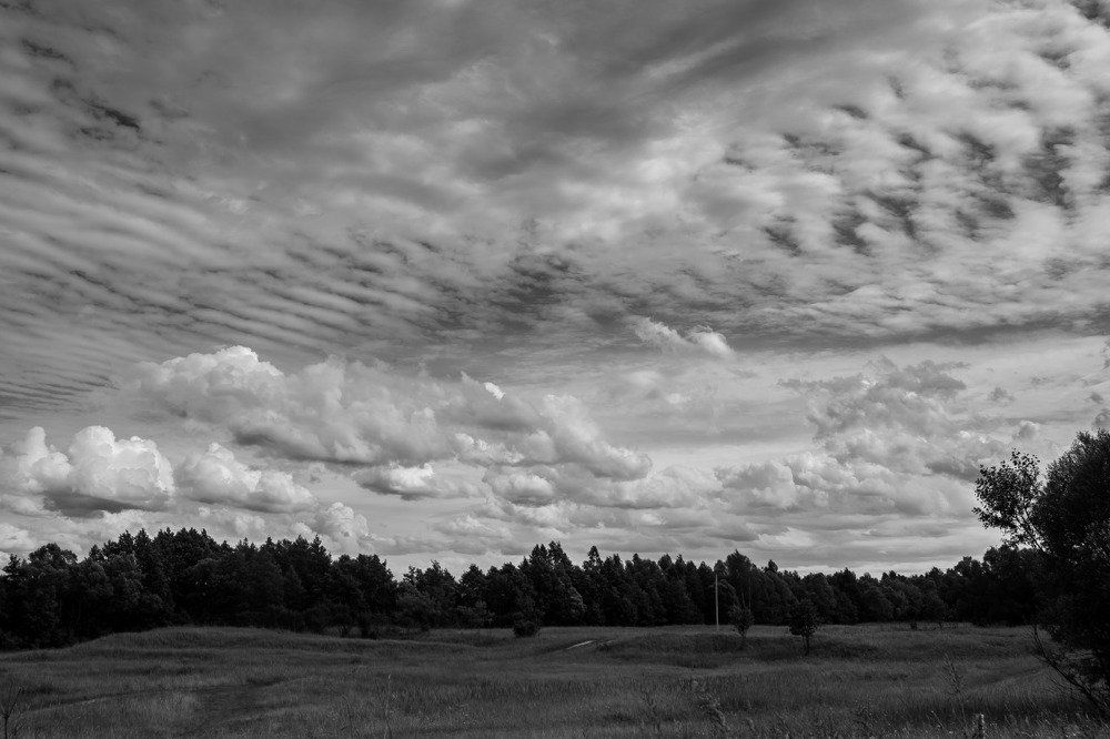 Photograph by Марина Колпакова