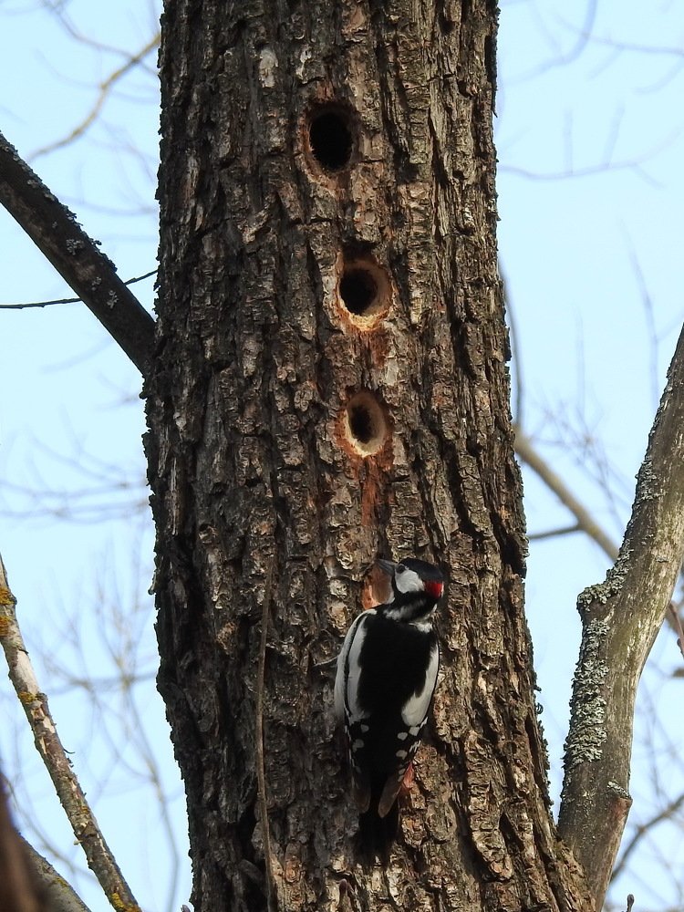 Photograph by Олеся Дейнеко