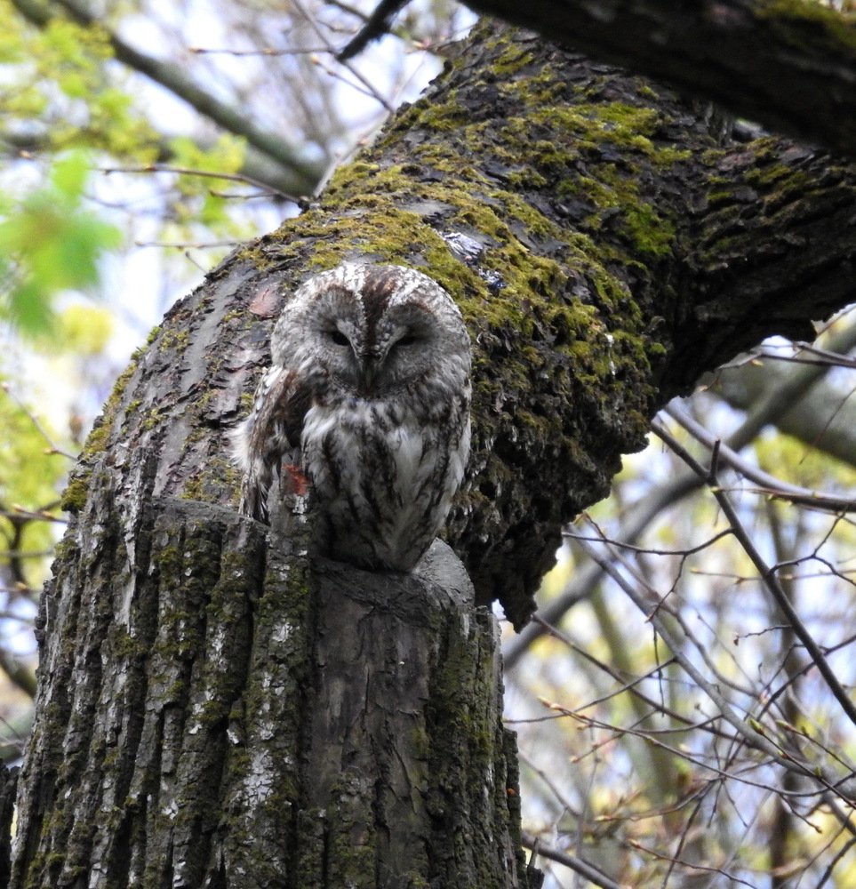 Photograph by Олеся Дейнеко