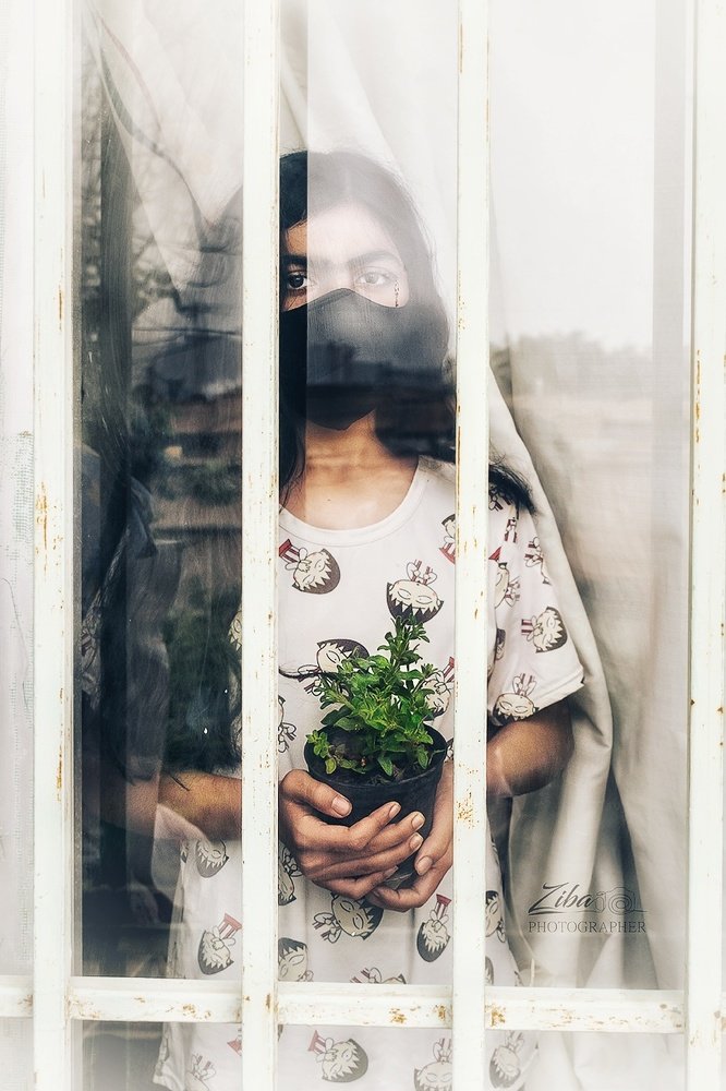 Фотография автора ziba alirezaei58