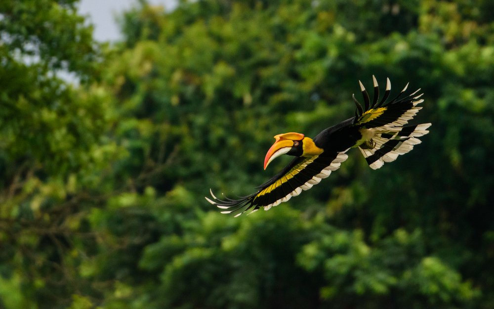 Photograph by Anku Boro