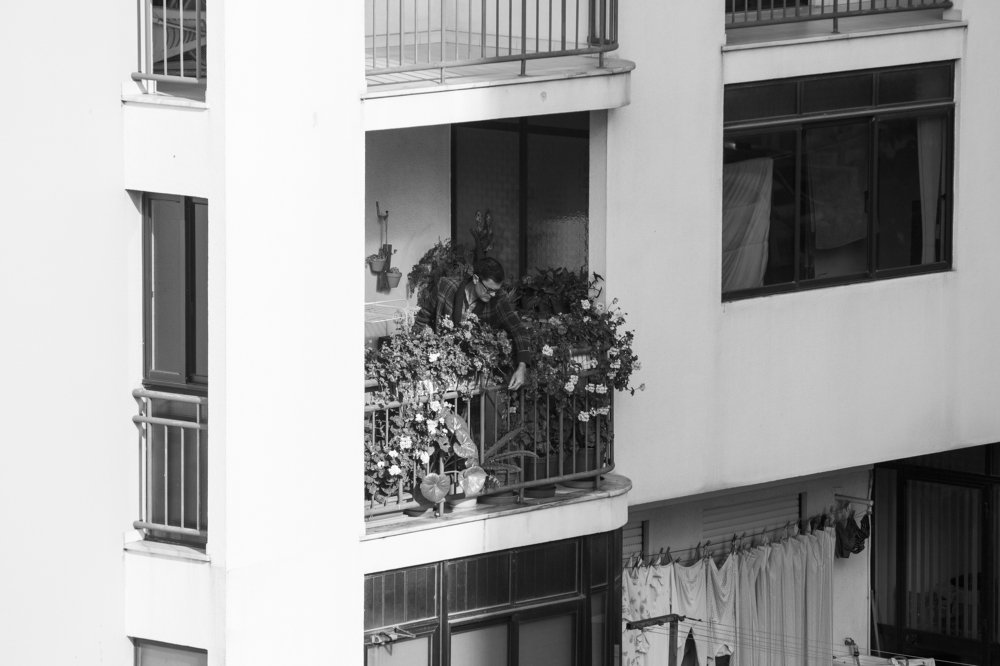 Photograph by Carlos Alberto Sequeira