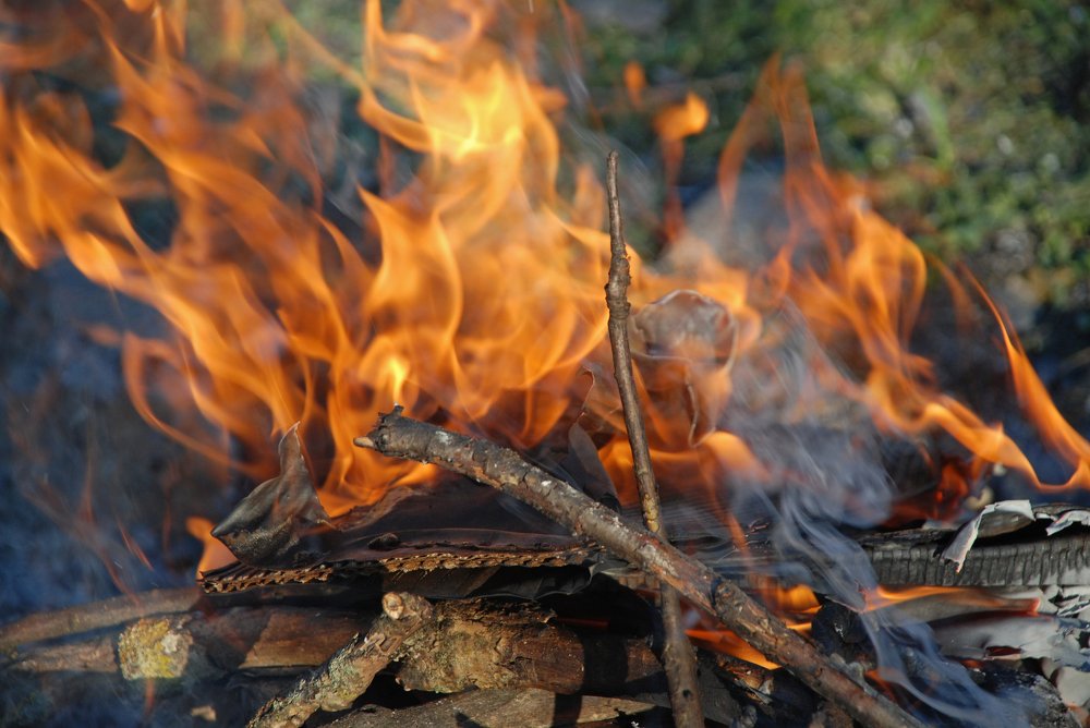 Photograph by Gordana Nikolovska-Dimeska