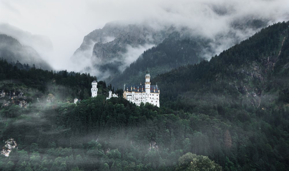 Photograph by Iris Lara