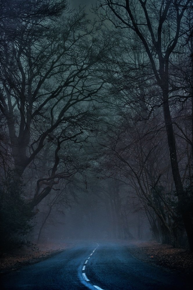 Photograph by Sunny gupta