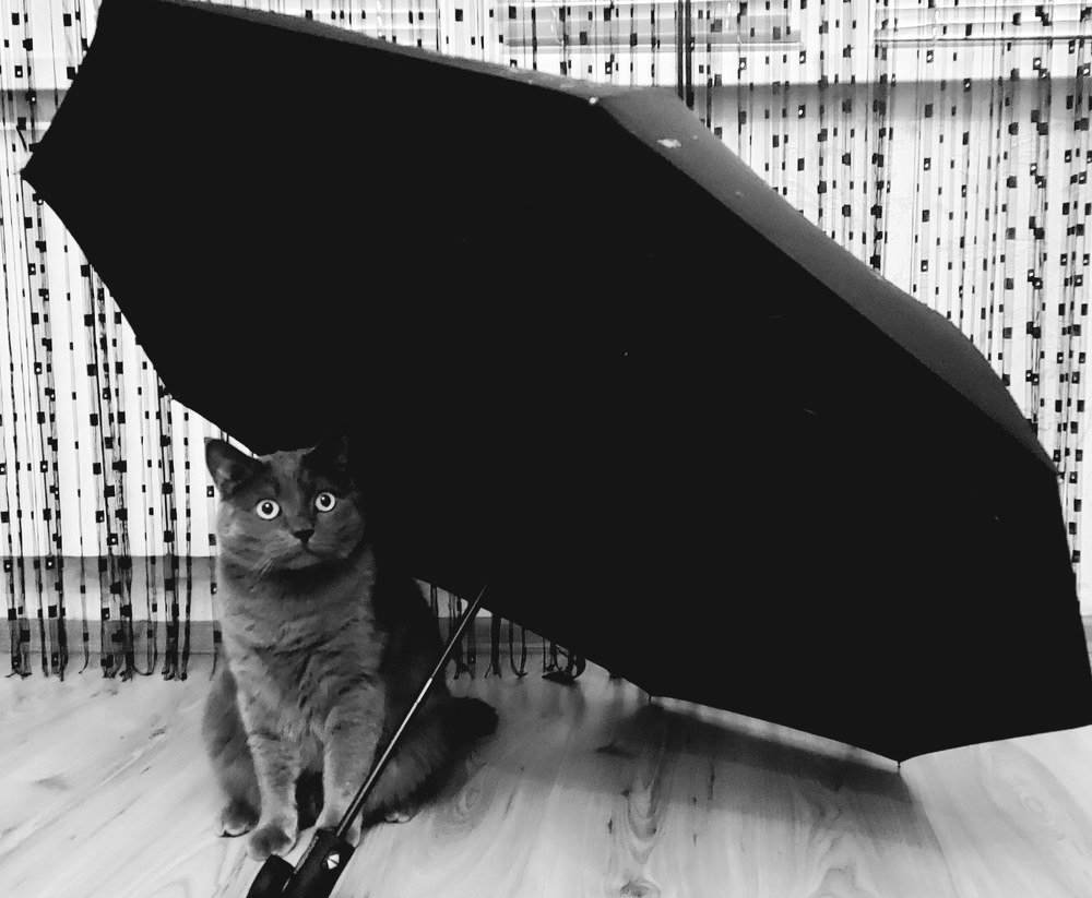 Photograph by Виктор Петров