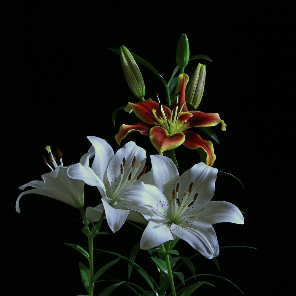 Photograph by Игорь Куленко