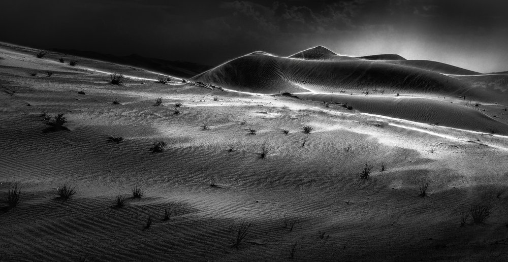 Photograph by Anjitha Senarath