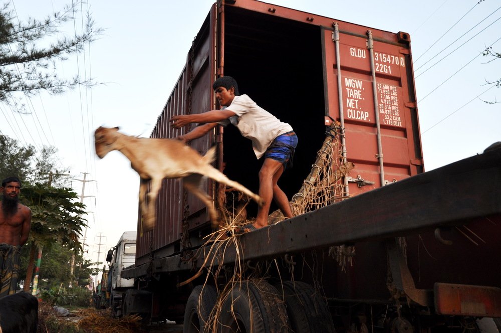 Photograph by MD DIDARUL ALAM CHY