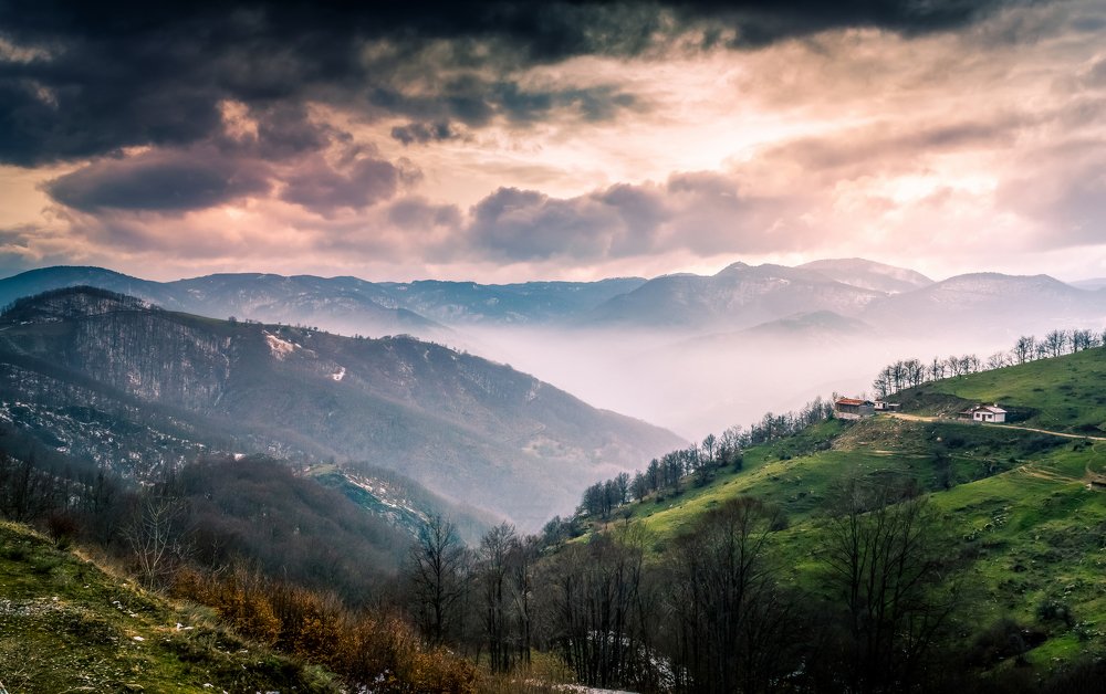 Photograph by daniel