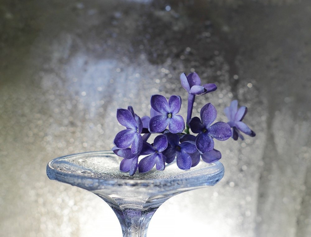 Photograph by Александра Пургаева