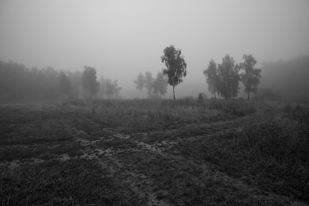 Photograph by Юрий Петрухин