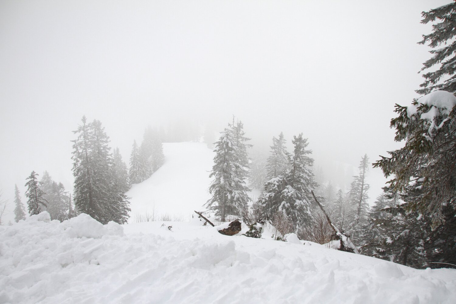 Photo #4639769