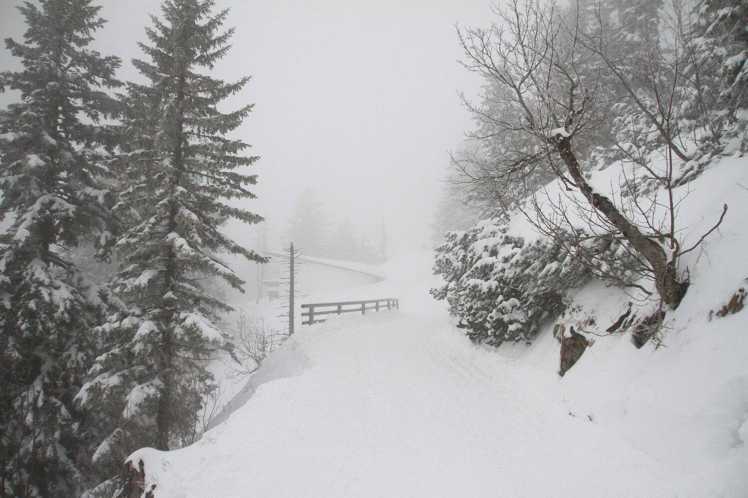 Photo #4639770