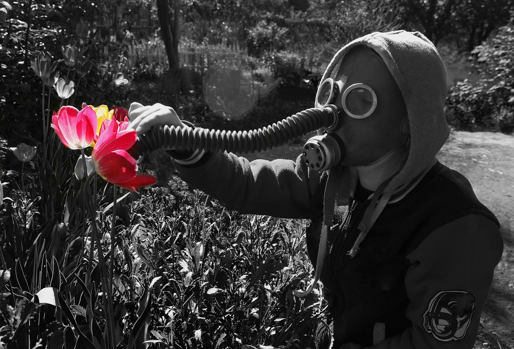 Photograph by Сергей Мордань