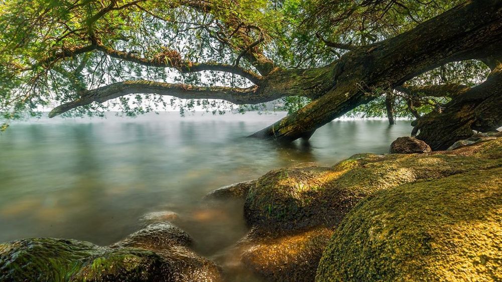 Photograph by Montana Photographer