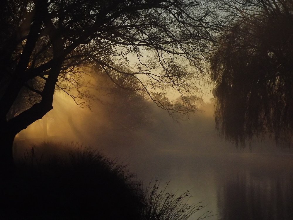 Winter morning mist