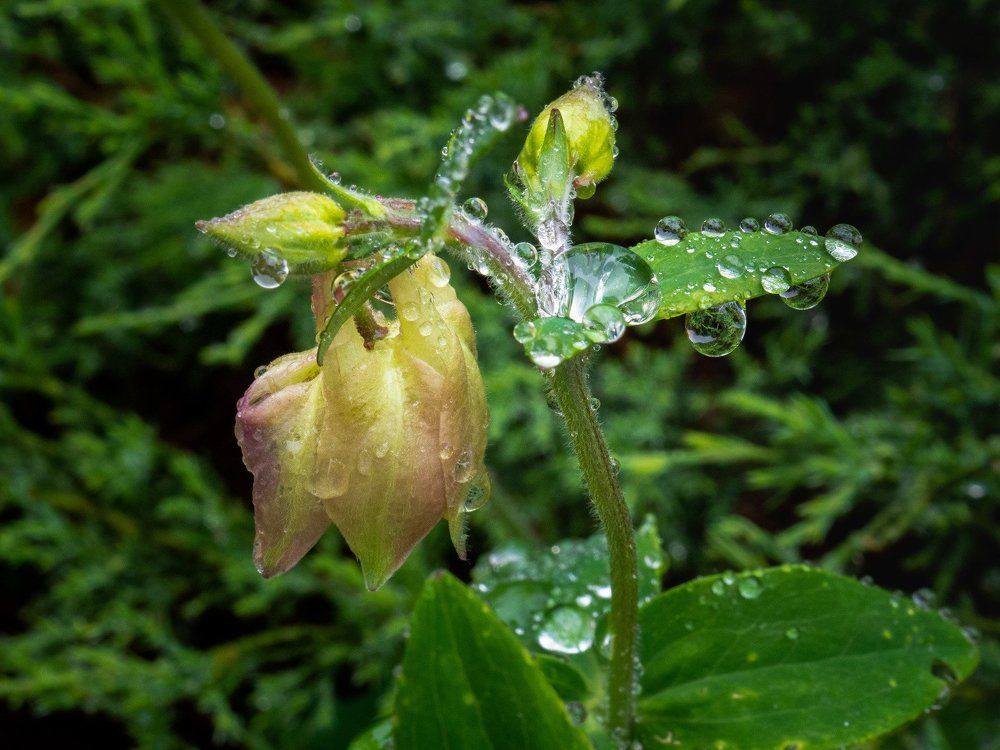 Photograph by mikhail goryachev