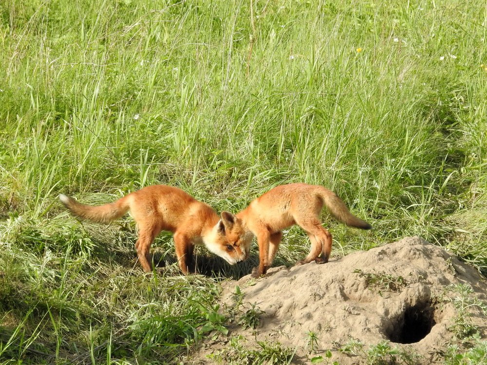 Photograph by Олеся Дейнеко