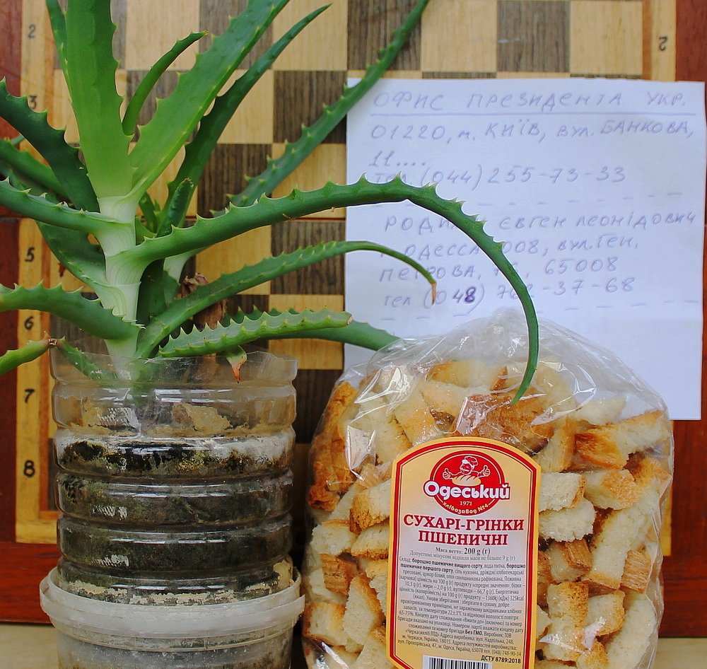 Photograph by Евгений Родыгин