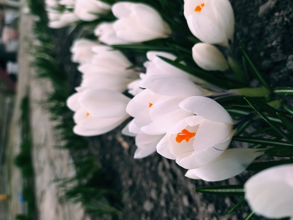 Photograph by Алина
