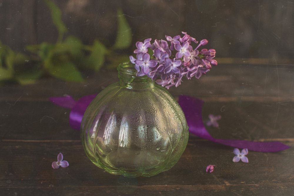 Photograph by Юлия Сергеева