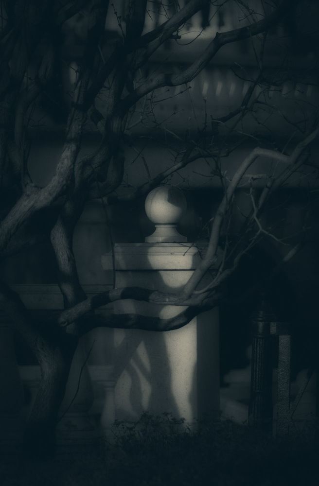 Контраст форм, света и тени.