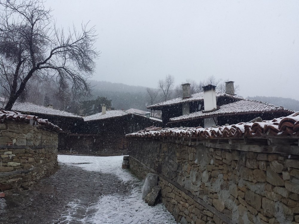 Photograph by Dimitar Stoev