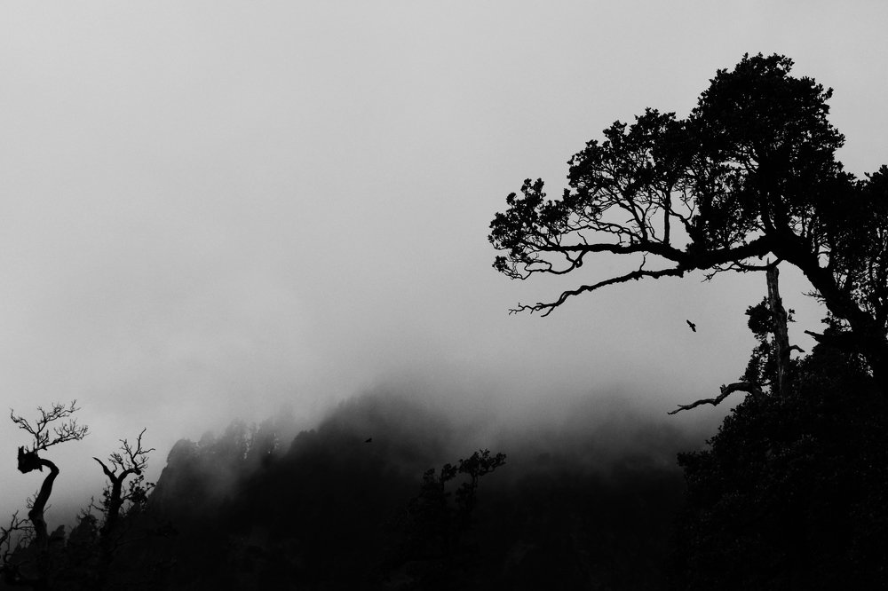 Photograph by Василь Камалов