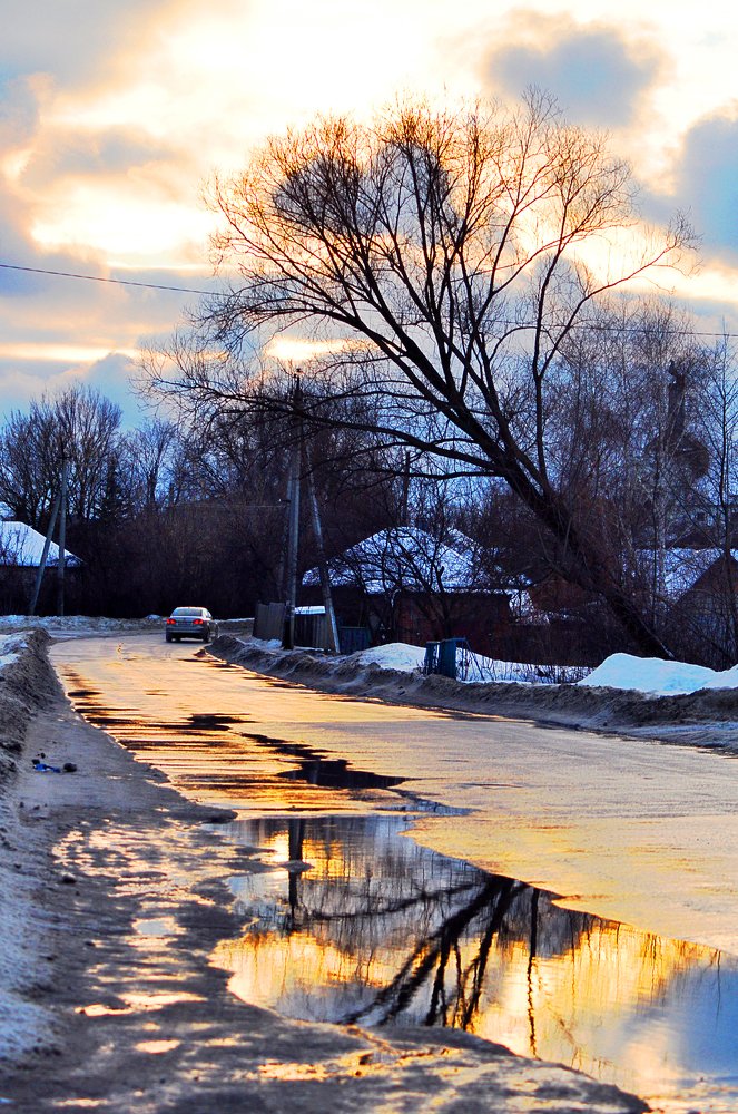 Photograph by БРОВКО АЛЕКСАНДР ИВАНОВИЧ