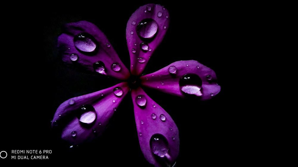 Photograph by Sreeraj S nair