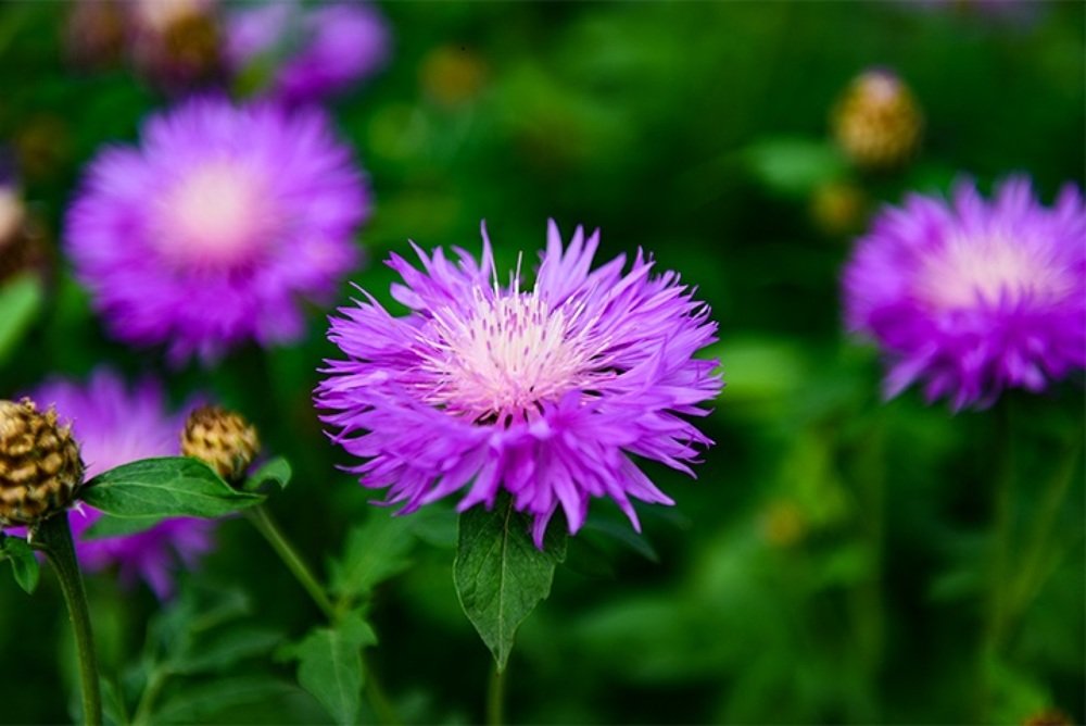 Photograph by Анна Побежимова