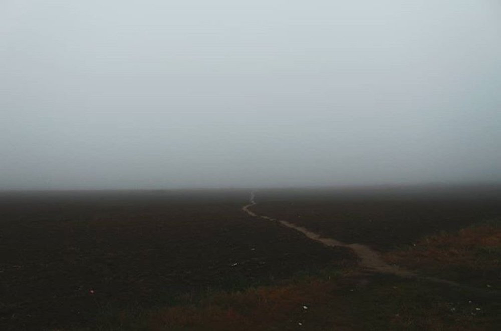 Photograph by Ирина Свистунова