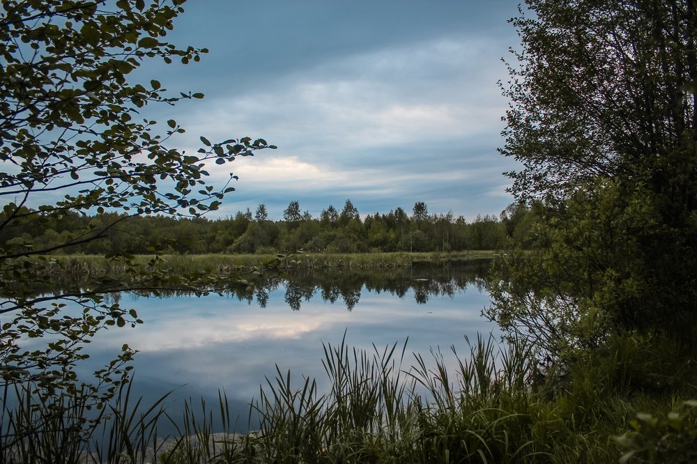 Photograph by Никита Капустин