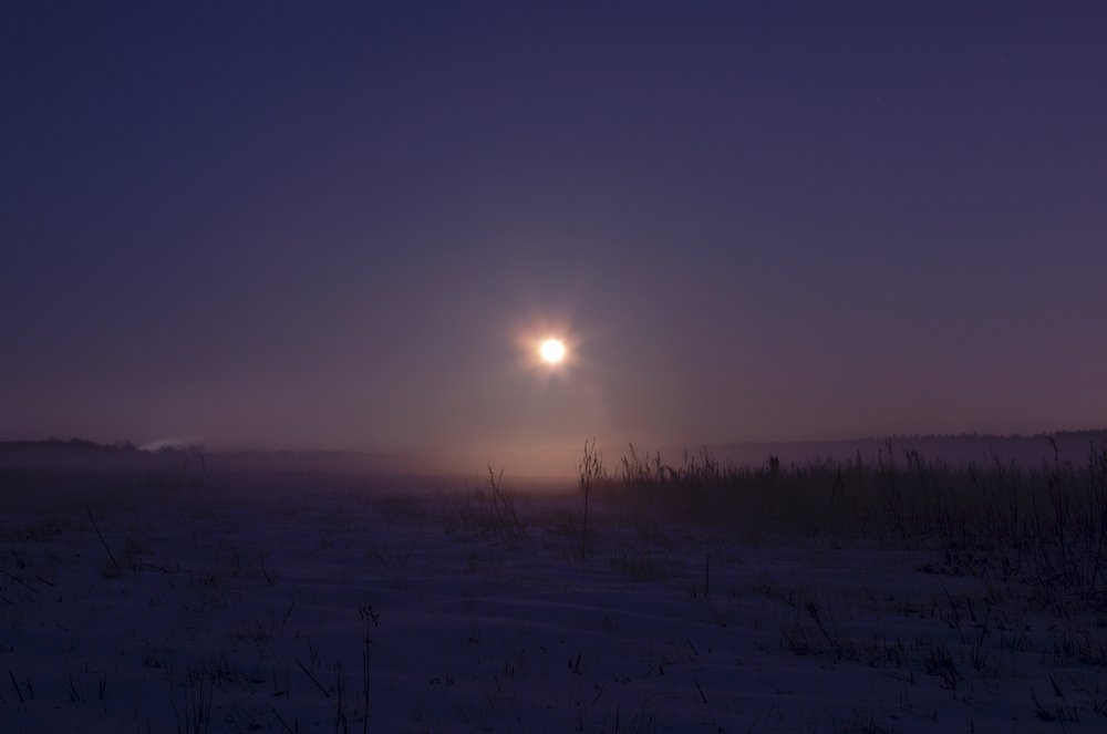 Photograph by Людмила Гудина