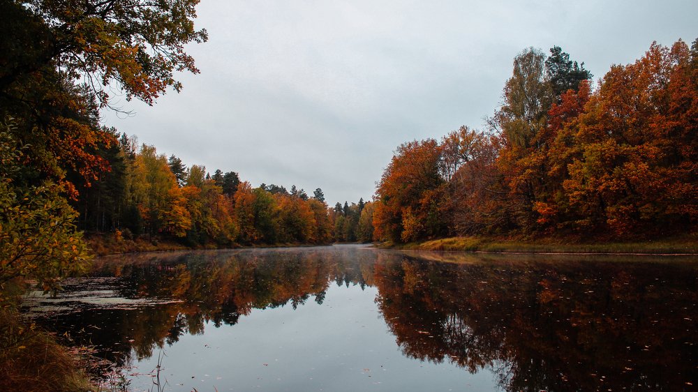 Photograph by Никита Капустин