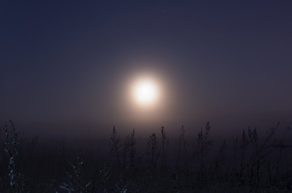 Photograph by Людмила Гудина