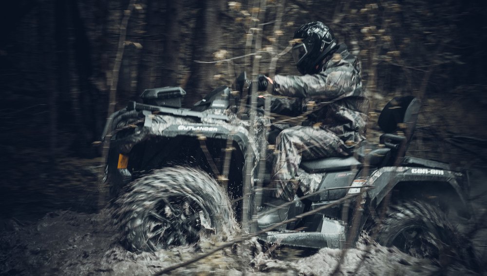 Лесной дозор