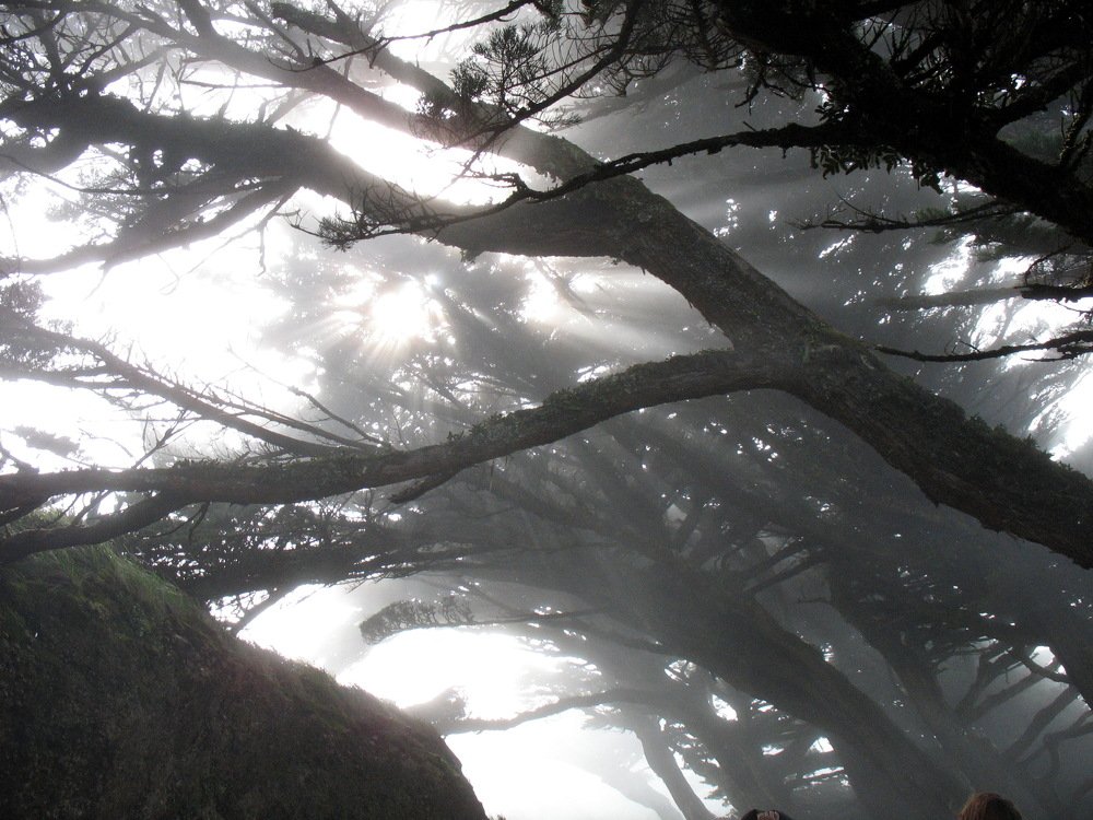 Photograph by Игорь