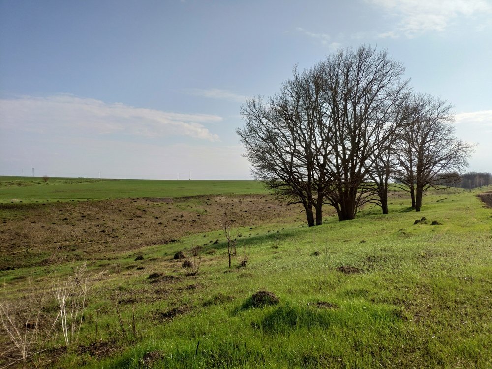 Photograph by Игорь Комков