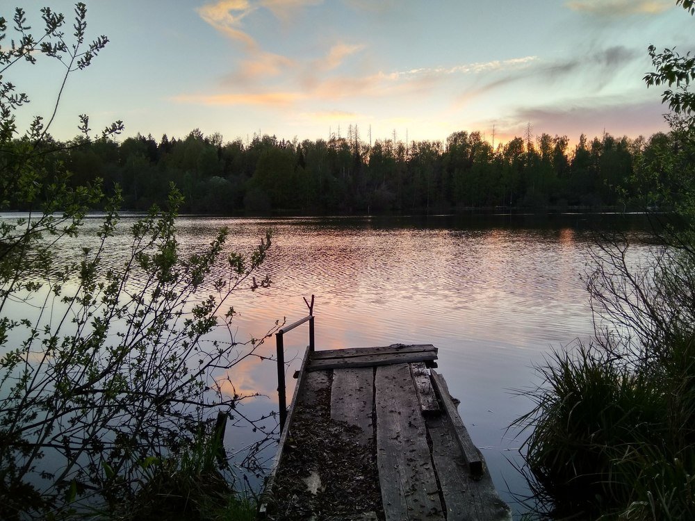 Photo #4640724