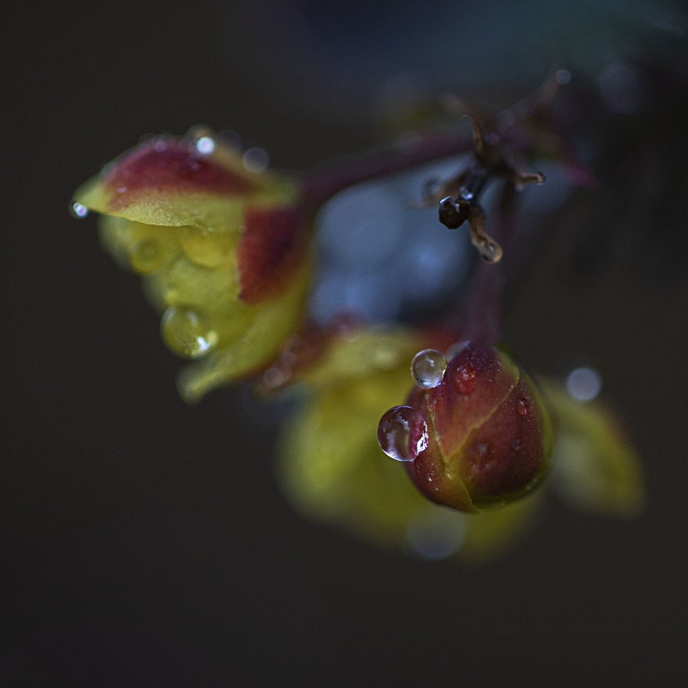 Photograph by Екатерина Вивюрская