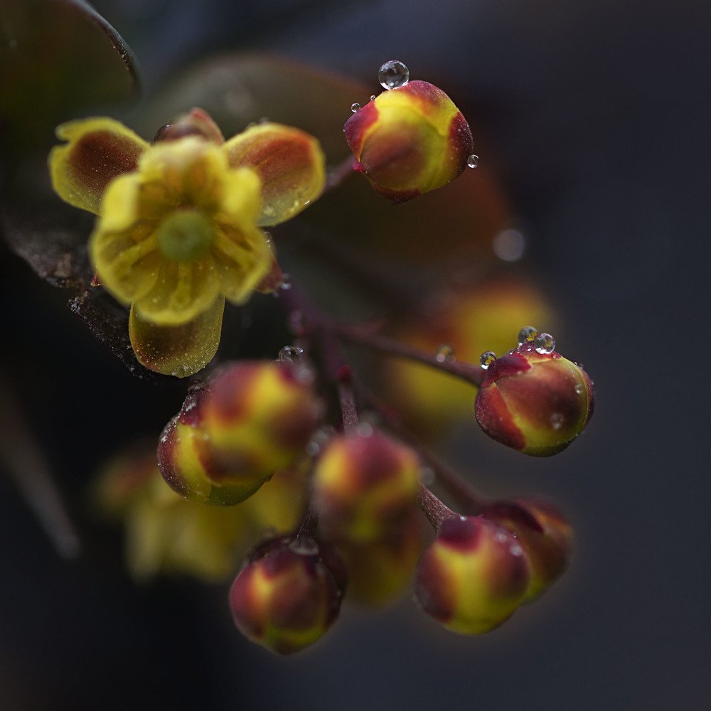 Photograph by Екатерина Вивюрская