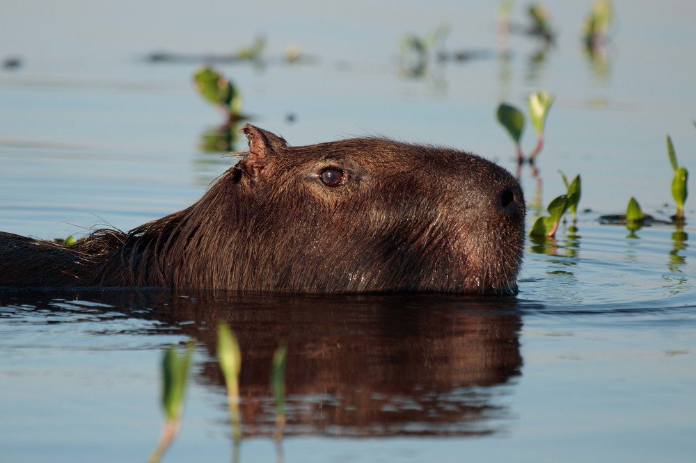 Photograph by MARÍA CECILIA REY