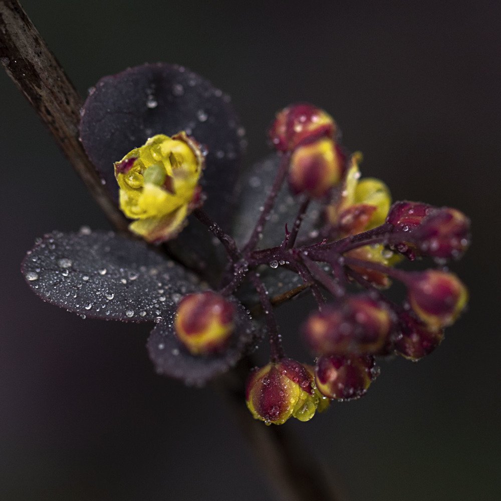 Photograph by Екатерина Вивюрская