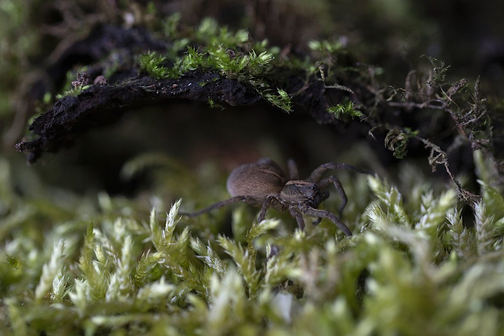 Photograph by Екатерина Вивюрская