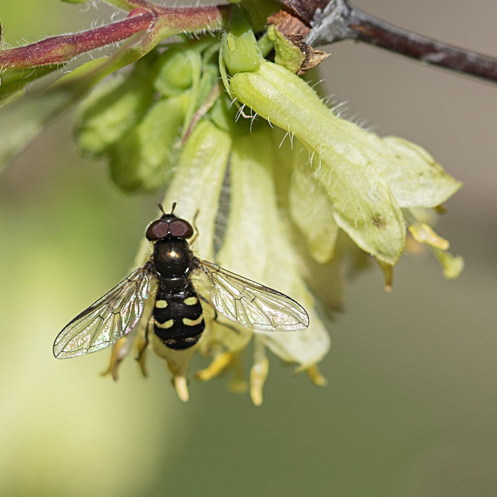 Photograph by Екатерина Вивюрская