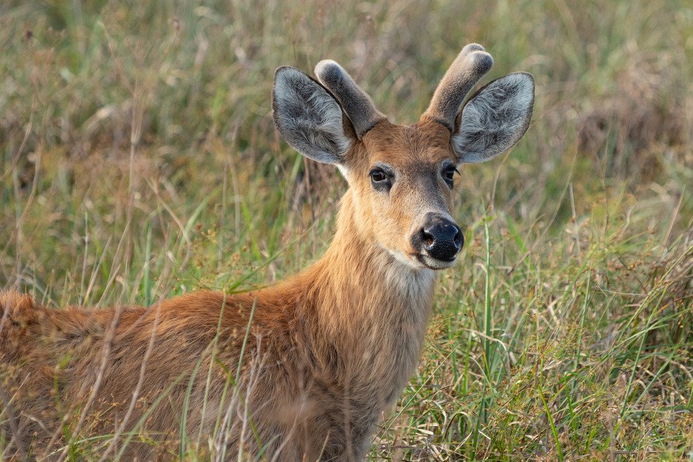 Photograph by MARÍA CECILIA REY