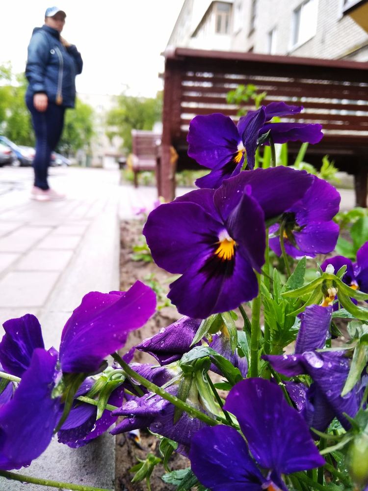 Photograph by Руслан