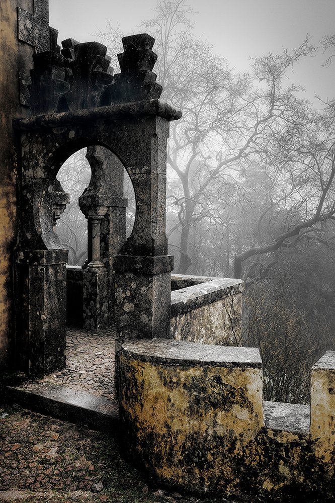 Photograph by Дмитрий Бакулин